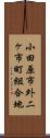 小田原市外二ヶ市町組合地 Scroll