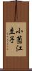 小薗江圭子 Scroll