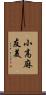 小高麻友美 Scroll