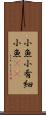小魚 Scroll