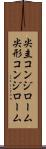 尖圭コンジローム Scroll