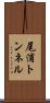尾浦トンネル Scroll