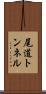 尾道トンネル Scroll