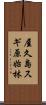 屋久島スギ原始林 Scroll