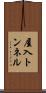 屋入トンネル Scroll