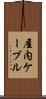 屋内ケーブル Scroll