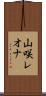 山咲レオナ Scroll