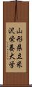 山形県立米沢栄養大学 Scroll