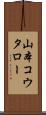 山本コウタロー Scroll