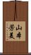 山本芳美 Scroll