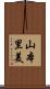 山本里美 Scroll