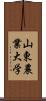 山東農業大学 Scroll