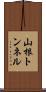山根トンネル Scroll