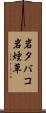 岩タバコ Scroll
