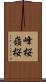 峰桜 Scroll