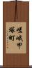 嵯峨甲塚町 Scroll