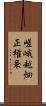 嵯峨越畑正権条 Scroll