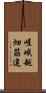 嵯峨越畑筋違 Scroll
