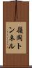 嶺岡トンネル Scroll