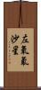 左氧氟沙星 Scroll