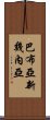 巴布亞新幾內亞 Scroll