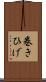 巻きひげ Scroll