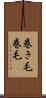 巻き毛 Scroll