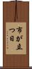 市が立つ日 Scroll
