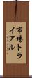 市場トライアル Scroll