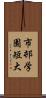 市邨学園短大 Scroll