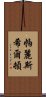 帕麗斯·希爾頓 Scroll