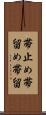 帯止め Scroll