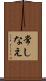 常しなえ Scroll