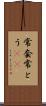 常套 Scroll
