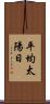平均太陽日 Scroll