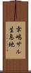 幸嶋サル生息地 Scroll