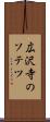 広沢寺のソテツ Scroll