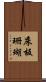 床板珊瑚 Scroll