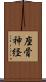 座骨神経 Scroll