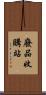 廢品收購站 Scroll