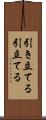 引き立てる Scroll