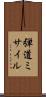 弾道ミサイル Scroll