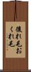 後れ毛 Scroll
