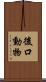 後口動物 Scroll