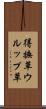 得撫草 Scroll