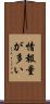 情報量が多い Scroll