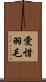 愛惜羽毛 Scroll