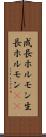 成長ホルモン Scroll