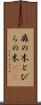 扉の木 Scroll