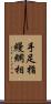 手足指縵網相 Scroll